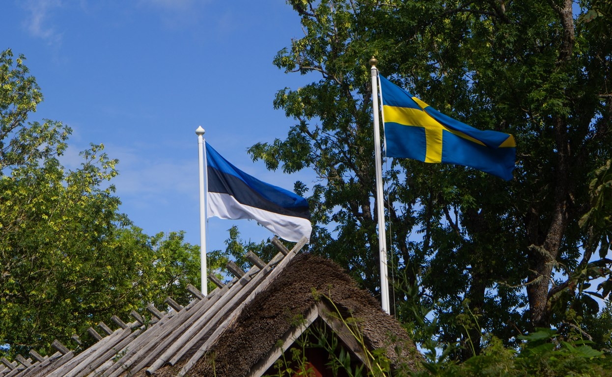 Eestirootslased said valimisteks raha Eestirootslased said valimisteks raha