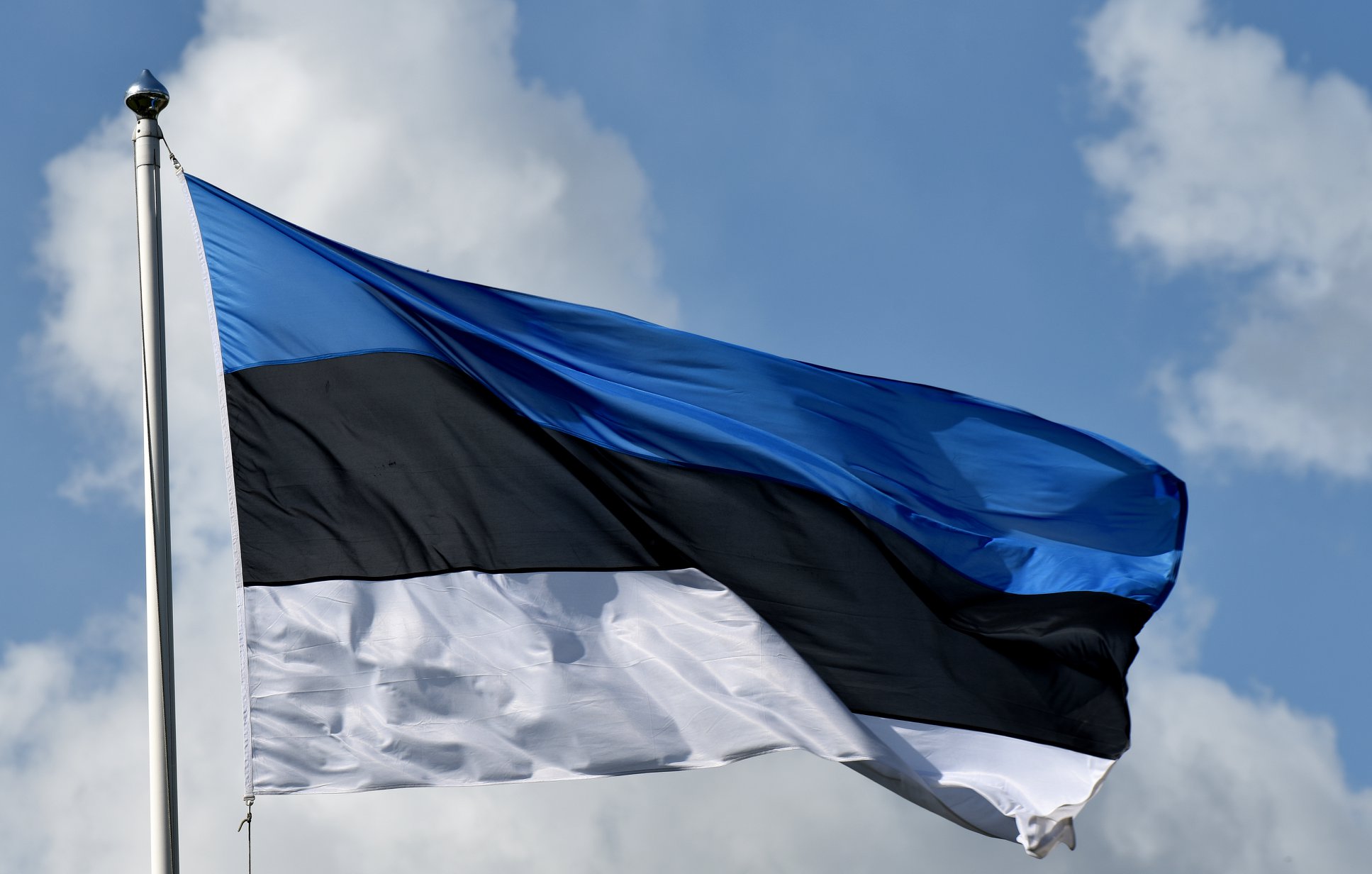 Reedel heisatakse Eesti lipud emakeele auks Reedel heisatakse Eesti lipud emakeele auks
