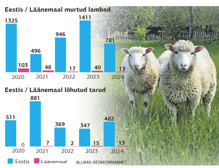 Kiskjate kahju Läänemaal vähenes Kiskjate kahju Läänemaal vähenes